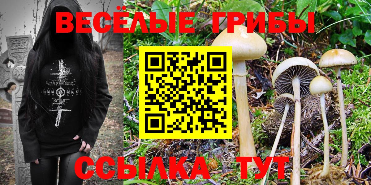 Псилоцибиновые грибы Psilocybine cubensis  Вход с VPN  Галлюциногенные грибы Psilocybine cubensis  Ступино 