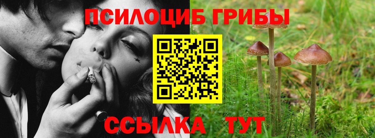 Каннабис  Лсд 25  КЕТАМИН  A-PVP СК кристаллы  Меф кристаллы  Вход с VPN  Ступино  ГАШИШ  ГЕРОИН 