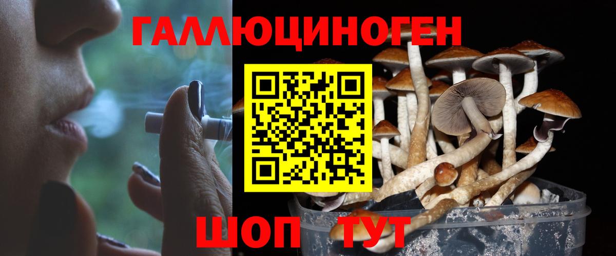 Галлюциногенные грибы Magic Shrooms Ступино
